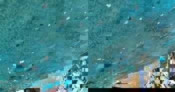 osmose også kaldet glasfiberpest