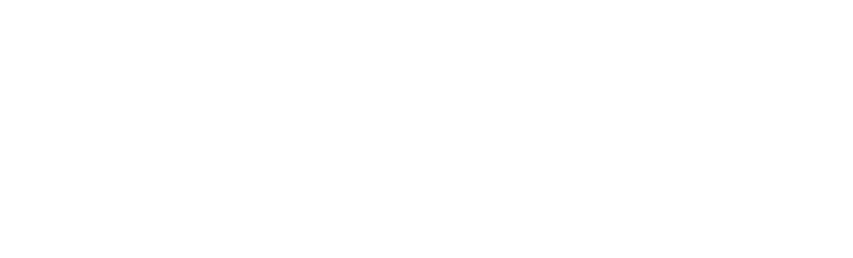 Dansk Sejlunion Logo